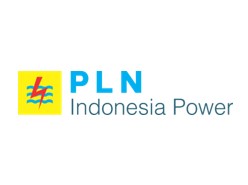 pln11